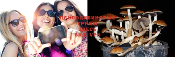 дурь Новодвинск