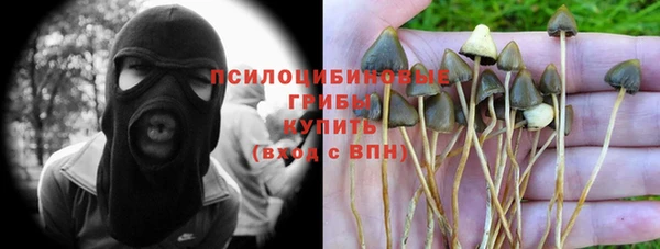 марки lsd Новозыбков