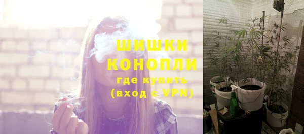 дурь Новодвинск