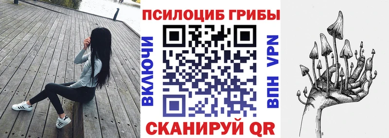 купить   Шенкурск  omg сайт  Галлюциногенные грибы мицелий 